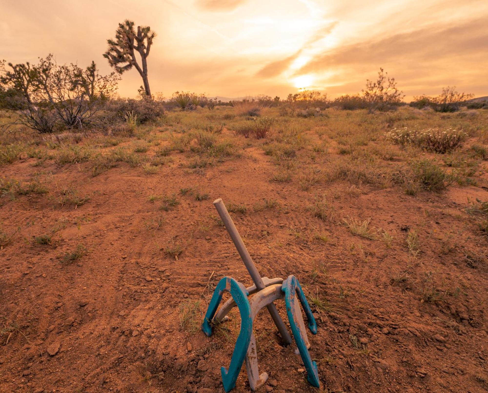 Вілла Coyote Tracks - A Modern Desert Experience Джошуа-Трі Екстер'єр фото